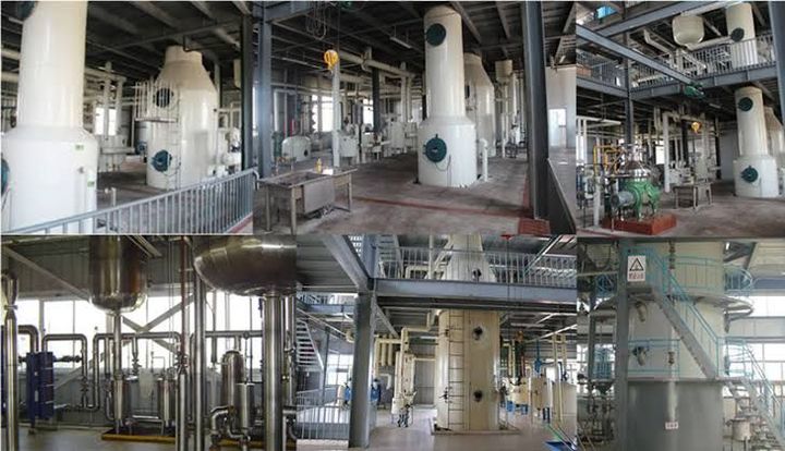 Oil Deodorizing Machine Overview: Explore Key Factors Before It’s Too Late